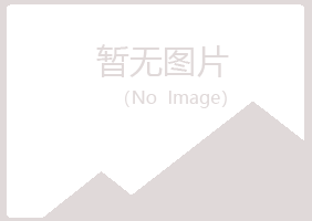 龙岩夏日金属有限公司